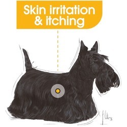 Корм для собак Royal Canin Dermacomfort All Size Pouch 60 pcs