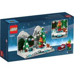 Конструкторы Lego Winter Elves Scene 40564