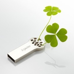 USB Flash (флешка) Apacer AH135 32Gb