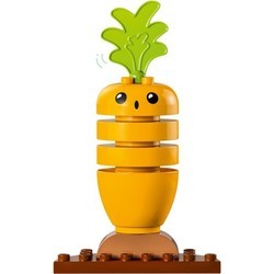 Конструкторы Lego Organic Garden 10984