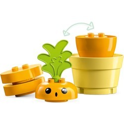 Конструкторы Lego Growing Carrot 10981