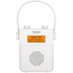 Радиоприемники и настольные часы TechniSat DigitRadio 30