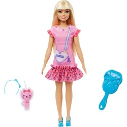 Куклы Barbie Malibu HLL19