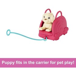 Куклы Barbie Chelsea Travel Set With Puppy HJY17