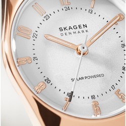 Наручные часы Skagen SKW3078