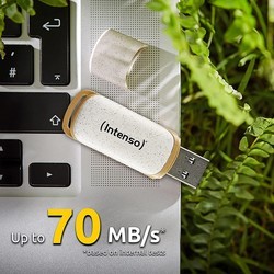 USB-флешки Intenso Green Line 128Gb