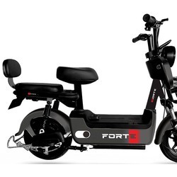Электромопеды и электромотоциклы Forte Lucky (черный)
