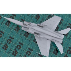 Сборные модели (моделирование) ICM MiG-25 RBF (1:48)