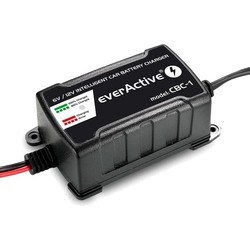 Пуско-зарядные устройства everActive CBC-1 v2