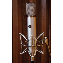 Микрофоны Warm Audio WA-CX12
