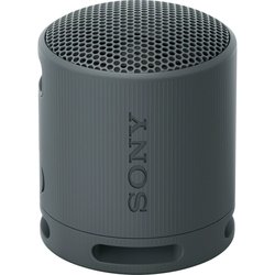 Портативные колонки Sony SRS-XB100 (бирюзовый)