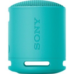 Портативные колонки Sony SRS-XB100 (черный)