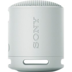 Портативные колонки Sony SRS-XB100 (черный)