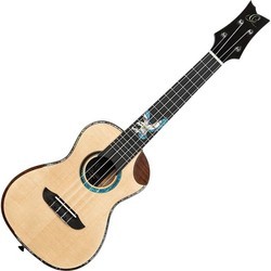 Акустические гитары Ortega EAGLESUITE-U