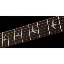 Электро и бас гитары PRS SE Custom 22 Semi Hollow
