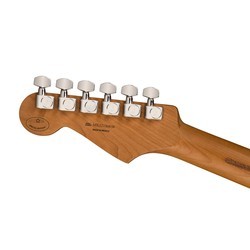 Электро и бас гитары Fender Limited Edition Player Stratocaster