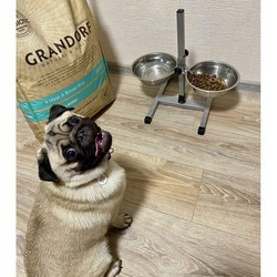 Корм для собак Grandorf Adult Medium/Maxi Breeds 4 Meat 10 kg