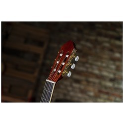Акустические гитары Peavey Delta Woods CNS-2
