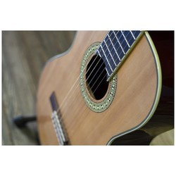 Акустические гитары Peavey Delta Woods CNS-2