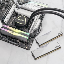 Оперативная память A-Data LANCER RGB DDR5 1x16Gb AX5U5600C3616G-CLARWH