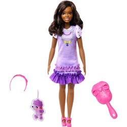 Куклы Barbie Brooklyn HLL20