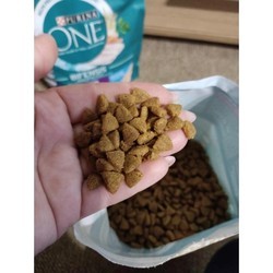 Корм для кошек Purina ONE Adult Difficult Appetite Trout 800 g