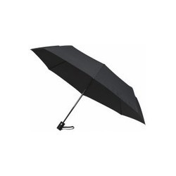 Зонты Economix Promo Storm (черный)