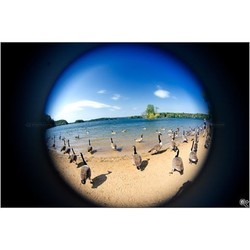 Объективы Lensbaby Fisheye Optic