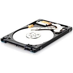 Жесткий диск Seagate ST320LT012