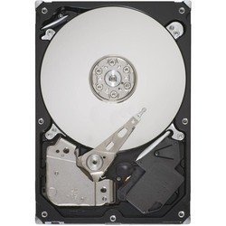 Жесткие диски Seagate ST1500VM002