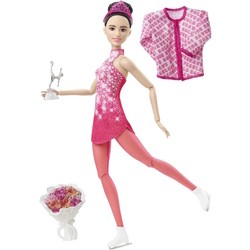 Куклы Barbie Winter Sports Ice Skater Brunette HHY27