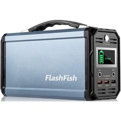 Зарядные станции Flashfish G300
