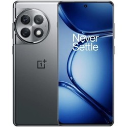 Мобильные телефоны OnePlus Ace 2 Pro 256&nbsp;ГБ (серебристый)