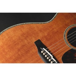 Акустические гитары Takamine LTD2022