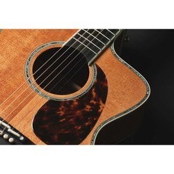 Акустические гитары Takamine LTD2022