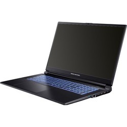 Ноутбуки Dream Machines RG3050-17 V170RNJY [RG3050-17PL50]