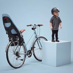 Детские велокресла Thule Yepp 2 Maxi Rack Mounted