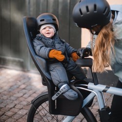 Детские велокресла Thule Yepp 2 Maxi Frame Mounted
