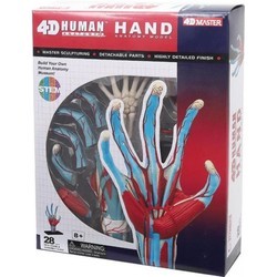 3D пазлы 4D Master Hand 626009