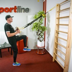 Шведские стенки inSPORTline Steadyline 22510