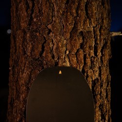Сноуборды Arbor Candle Rain Camber 158W (2023\/2024)