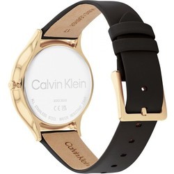Наручные часы Calvin Klein 25200008
