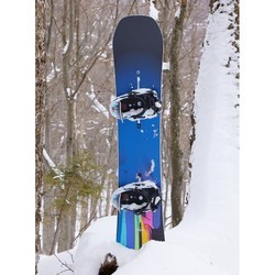 Сноуборды Burton Feelgood Camber 149 (2023\/2024)