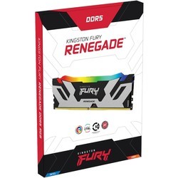 Оперативная память Kingston Fury Renegade DDR5 RGB 1x24Gb KF564C32RSA-24