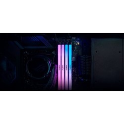 Оперативная память Kingston Fury Renegade DDR5 RGB 1x24Gb KF572C38RSA-24