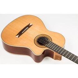 Акустические гитары Alhambra 5P CW E8