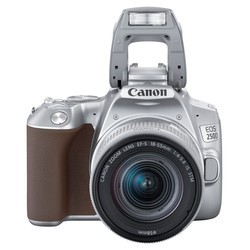 Фотоаппараты Canon EOS 250D  kit 18-55 + 75-300