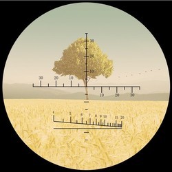 Бинокли и монокуляры Levenhuk Camo 10x42 Reticle