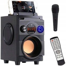 Аудиосистемы Feegar Showjet + Mic