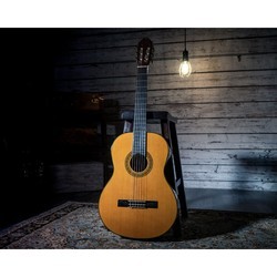 Акустические гитары Washburn C40